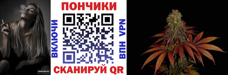Каннабис план  Михайловск 